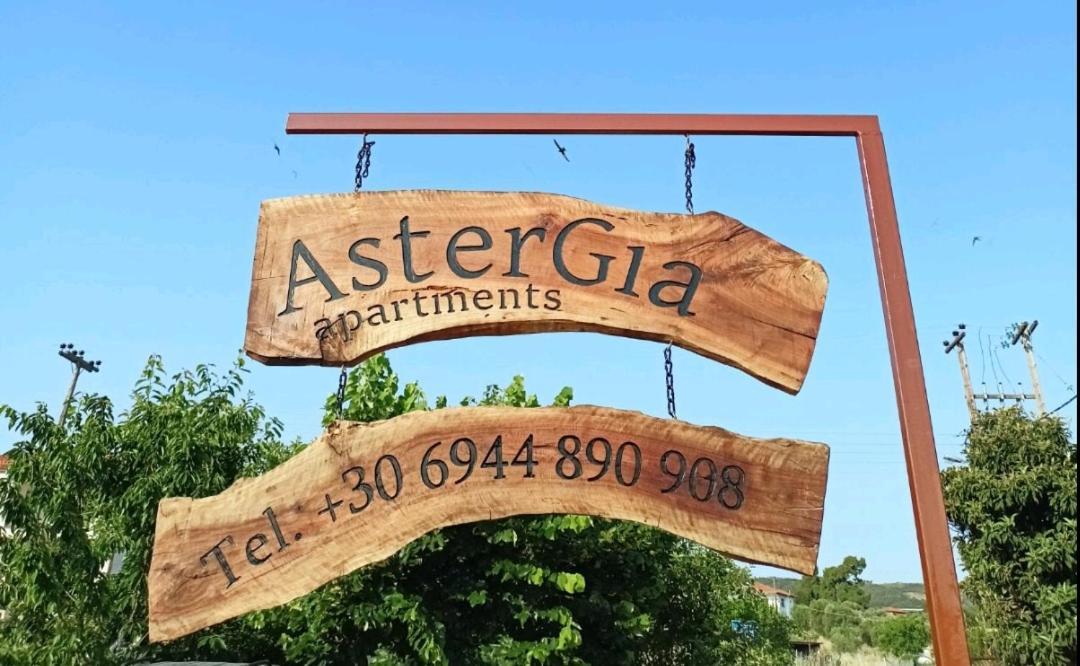 Chalkidiki Astergia Apartments Metagkitsi エクステリア 写真